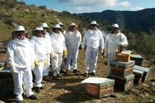 Curso apicultura 2012