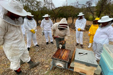 Curso apicultura