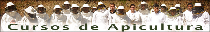 Cursos de apicultura