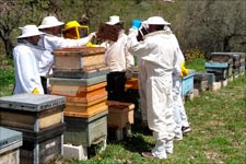Cursos apicultura 2018