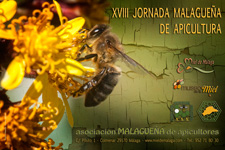 Curso apicultura