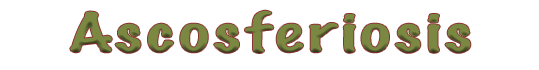 ascosferiosis