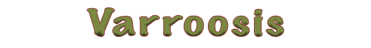 disfrutala