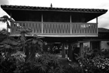foto09