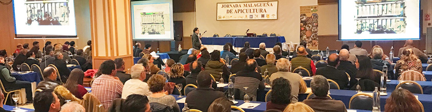 jornadas
