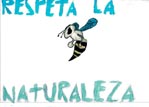 dibujo209