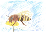 dibujo061