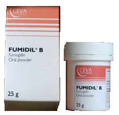 nosema3