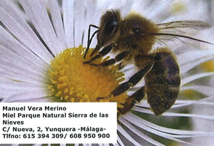 M. Vera