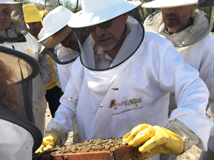 Cursos de apicultura