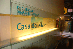 Tenerife2008_7