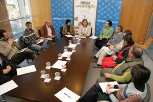 Mesa_del_Campo