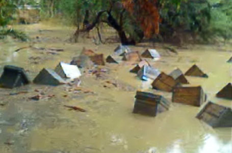 colmenas_inundaciones
