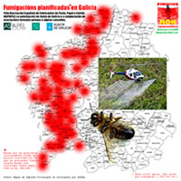 fumigaciones2