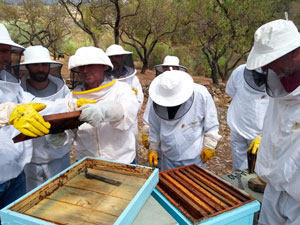 Cursos de apicultura 2019