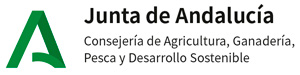 Junta de Andalucía