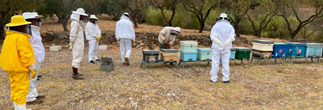 curso_apicultura