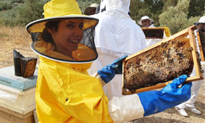 Curso manejo apícola septiembre