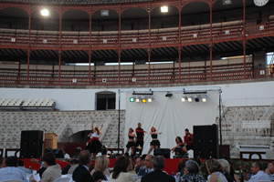 premio2008_09