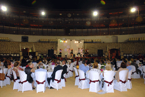 premio2008_11